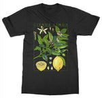 'Citrus Limon' Lemon Plant Aesthetic Art Black Tee Shirt