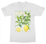 'Citrus Limon' Lemon Plant Aesthetic Art Black Tee Shirt